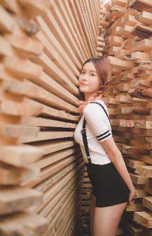 山月不知心底事电视剧免费观看